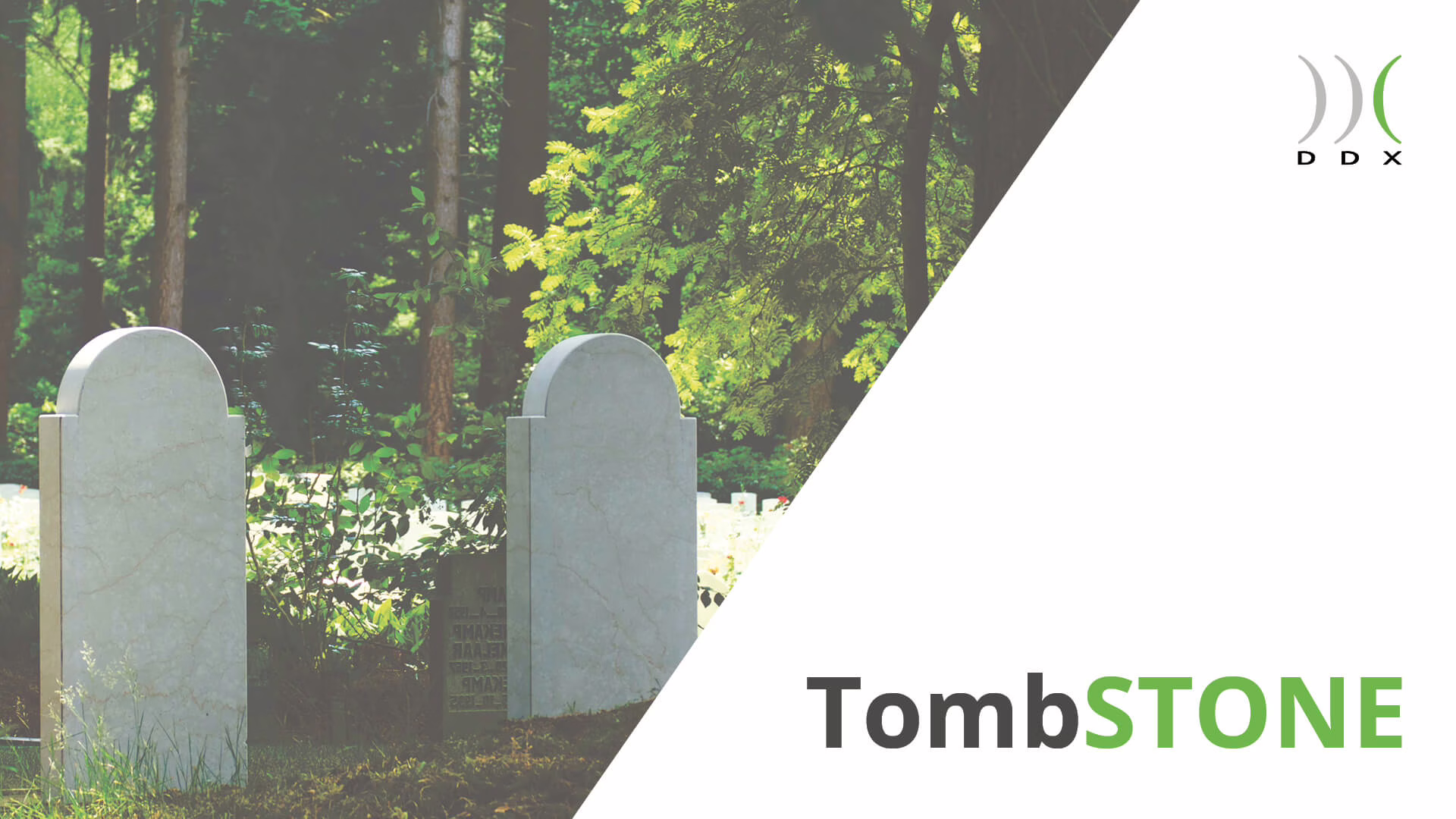 ddx-software-solutions-tombstone-schermata-iniziale